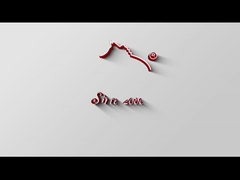 সুয়েড ক্লিনার HY-353